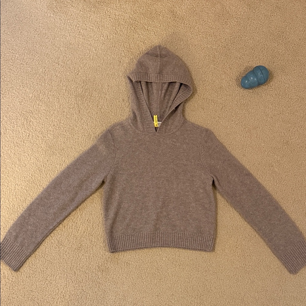 Club Monaco Taupe Cashmere Hooded Sweater